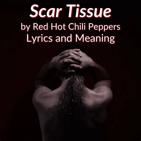 scar tissue song meaning|rhcp scar tissue lyrics.